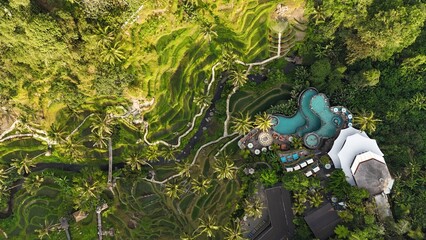 Aerial views of a resort hotel and rice fields in Bali, Indonesia