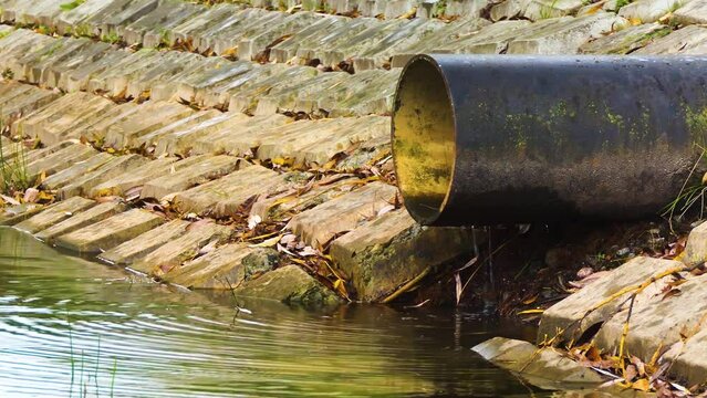Water drips from a black pipe into a pond. Concrete beach.