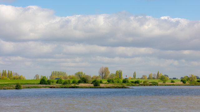 Spring landscape with new young leaves on the trees under blue sky, Natural along the Lek river, A river in the western of Netherlands, Schalkwijk is a small village in the Dutch province of Utrecht.