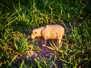 Naklejka na ściany i meble Plastic lamb in the grass