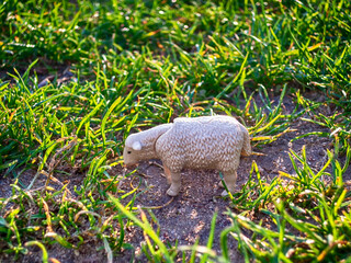 Shine lamb toy in the grass