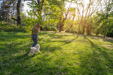 Pretty blonde walking her dog in the park, back view , idyllic sunset in background 