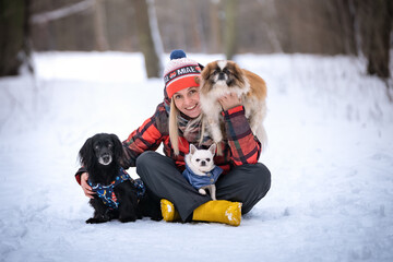 Dziewczyna siedzi na śniegu z trzema psami: pekińczykiem, czarnym kundelkiem i chihuahua