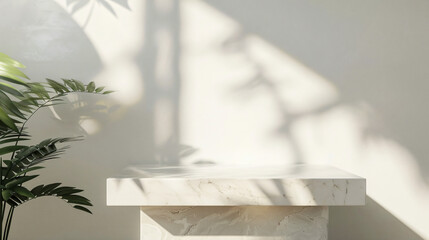 Luxury marble table with plant shadow on white