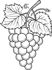 Grappe de raisin avec tige et feuilles. Fruit isolé pour page ou livre de coloriage adapté adulte ou enfant, dessin au trait et fond totalement transparent 