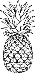 Ananas avec sa tige et feuilles. Fruit isolé pour page ou livre de coloriage adapté adulte ou enfant, dessin au trait et fond totalement transparent  - obrazy, fototapety, plakaty