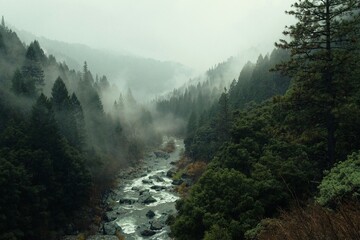 a river runs through a forest with trees and fog.
