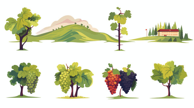 Vector image set of 9 vineyard icons on white background