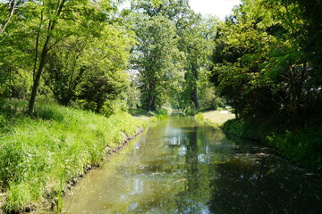 Kanal im romantischen Wörlitzer Park von Wörlitz Landschaftspark im Dessau-Wörlitzer Gartenreich
