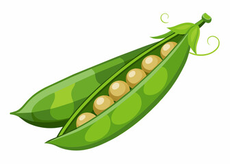 Pea pod icon. Cartoon illustration of peas pod vector icon for web - obrazy, fototapety, plakaty