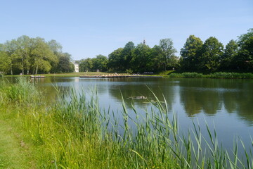 Wörlitzer See im Wörlitzer Park im Dessau-Wörlitzer Gartenreich