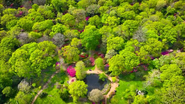 View of the Isabella Plantation, a beautiful woodland garden in Richmond, best known for its evergreen azaleas, ponds and streams, London, UK