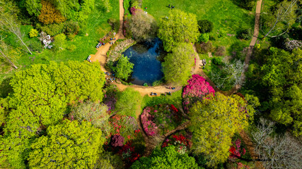 View of the Isabella Plantation, a beautiful woodland garden in Richmond, best known for its...