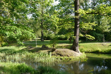 Schlossgarten Schloss Oranienbaum bei Wörlitz im Dessau-Wörlitzer Gartenreich