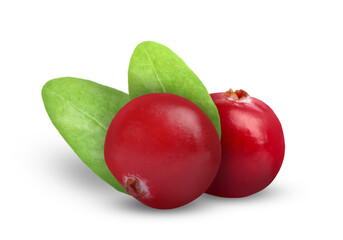 Fresh ripe cranberries with leaves isolated on white