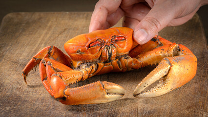 Hand holding a cooked crab. Crab on a wooden board. Typical creole crab dish