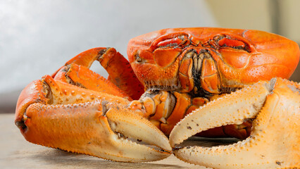 Close-up of a crab cooked. Crab on wooden table. Steamed crab with spicy on white old wood texture background. Red crab.