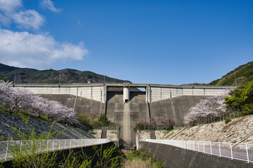 Kagawa,Japan - April 9, 2024: Awaji dam in cherry blossom season in Shodoshima, Shikoku, Japan