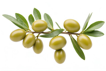 green olive branch isolated on white background