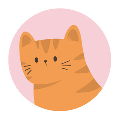 Cute Cat animal cartoon