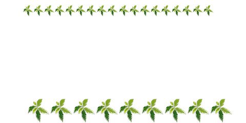 leaf design border 