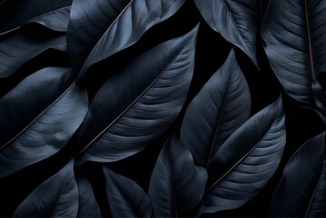 Obraz premium Textures of abstract black leaves for tropical leaf background. Flat lay, dark nature concept, tropical leaf, luxury