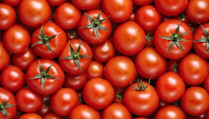 Red tomatoes, ripe, juicy, fresh organic, close-up. Useful and nutritious ingredients in cooking. Concept for vegetables, recipes, salads.