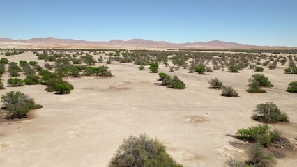 Atacama desert scenes in Chile