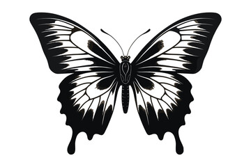 Butterfly Single black shilhutti 