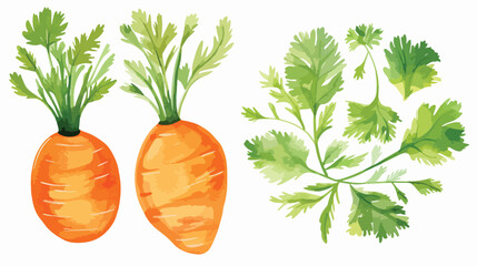 Watercolor illustration of carrot orange and green