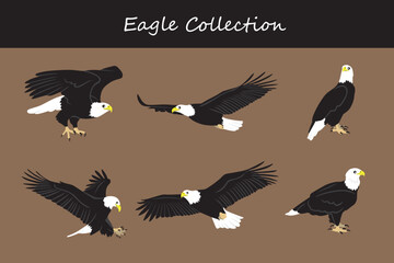 eagle collection. Vector illustration. Isolated on white background.