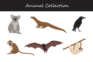 Animals collection isolated on white background. Flat style vector illustration.