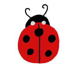 ladybug red black white insect nature spring
