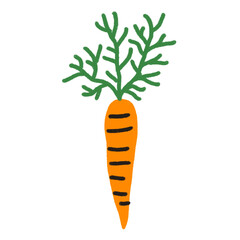 carrot vegetable food illustration orange green leaf
