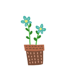 flower in a pot plant leaf blue yellow