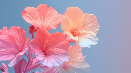 Obraz premium flower in shades of pink