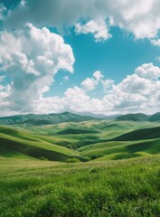 Fototapeta na wymiar Endless Horizon: A Stunning View of a Vast Green Grassland Stretching Under the Clear Blue Sky and Fluffy White Clouds