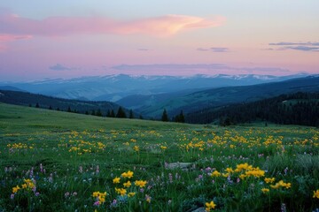 Dusk Descends on Majestic Alpine Meadow, Mountains Silhouetted in the Distance, a Serene and Breathtaking Scene - obrazy, fototapety, plakaty