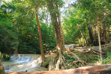 Erawan waterfall with tree  and sunlight  in the morning , Kanchanaburi Province, Thailand.
