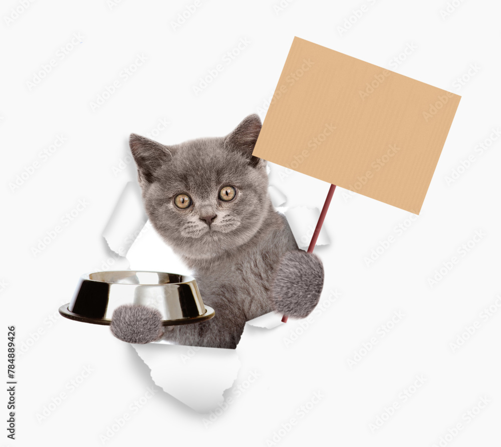Poster cute kitten looking through the hole in white paper, holding empty bowl and showing empty placard. i