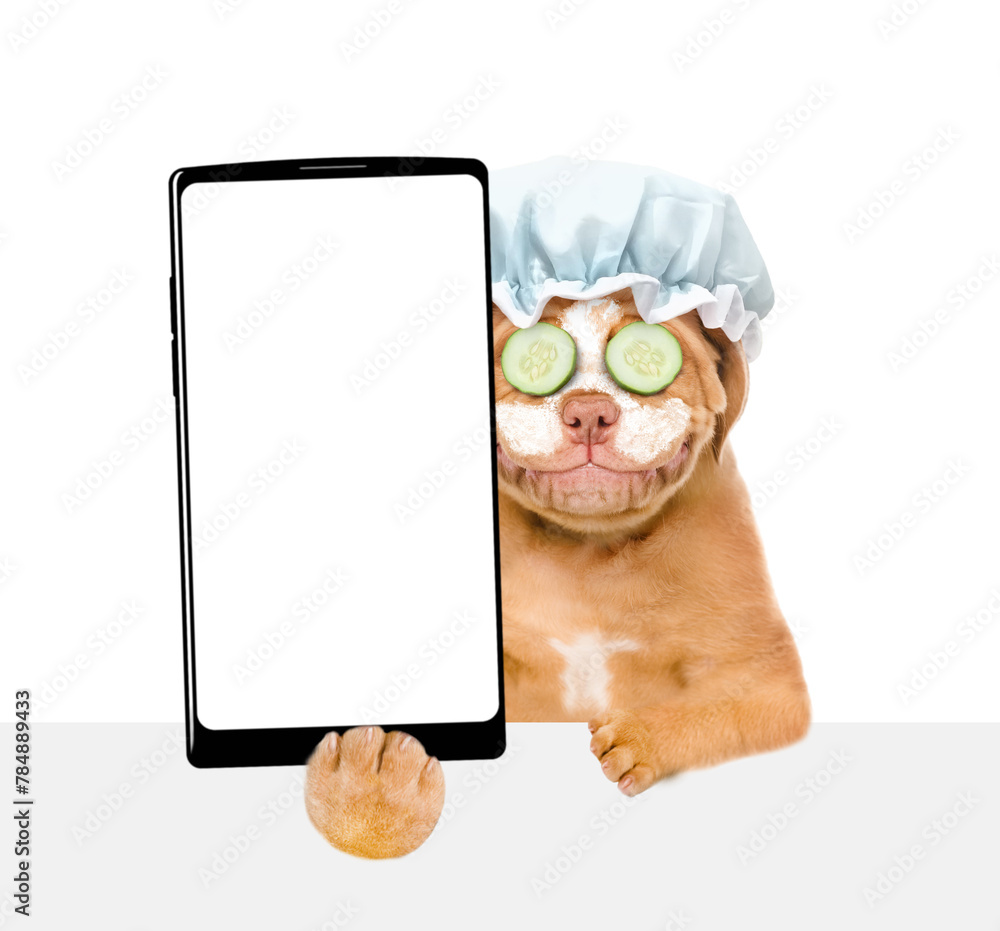 Poster Mastiff puppy with shower capon it head with pieces of cucumber on it eyes and with cream on it face holds big smartphone with white blank screen in it paw above empty white banner. isolated on white