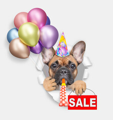 French bulldog wearing party cap blows in party horn, looks through a hole in white paper, holds balloons and shows signboard with labeled 