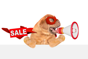 Funny Mastiff puppy wearing superhero costume barking into the megaphone above white banner.  Isolated on white background - 784889414