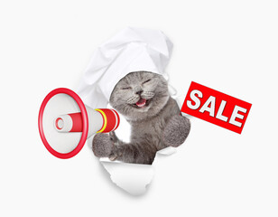 Happy cat wearing chef's hat looking through the hole in white paper, holding signboard with labeled 