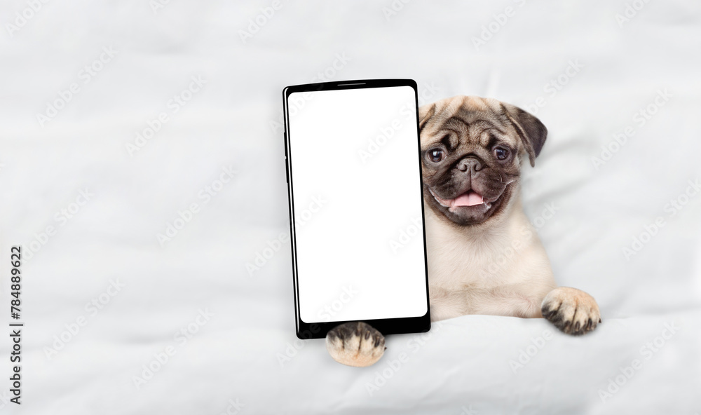 Aufkleber Pug puppy lying on a bed at home and showing big smartphone with white blank screen in it paw. Top down view. Empty space for text
