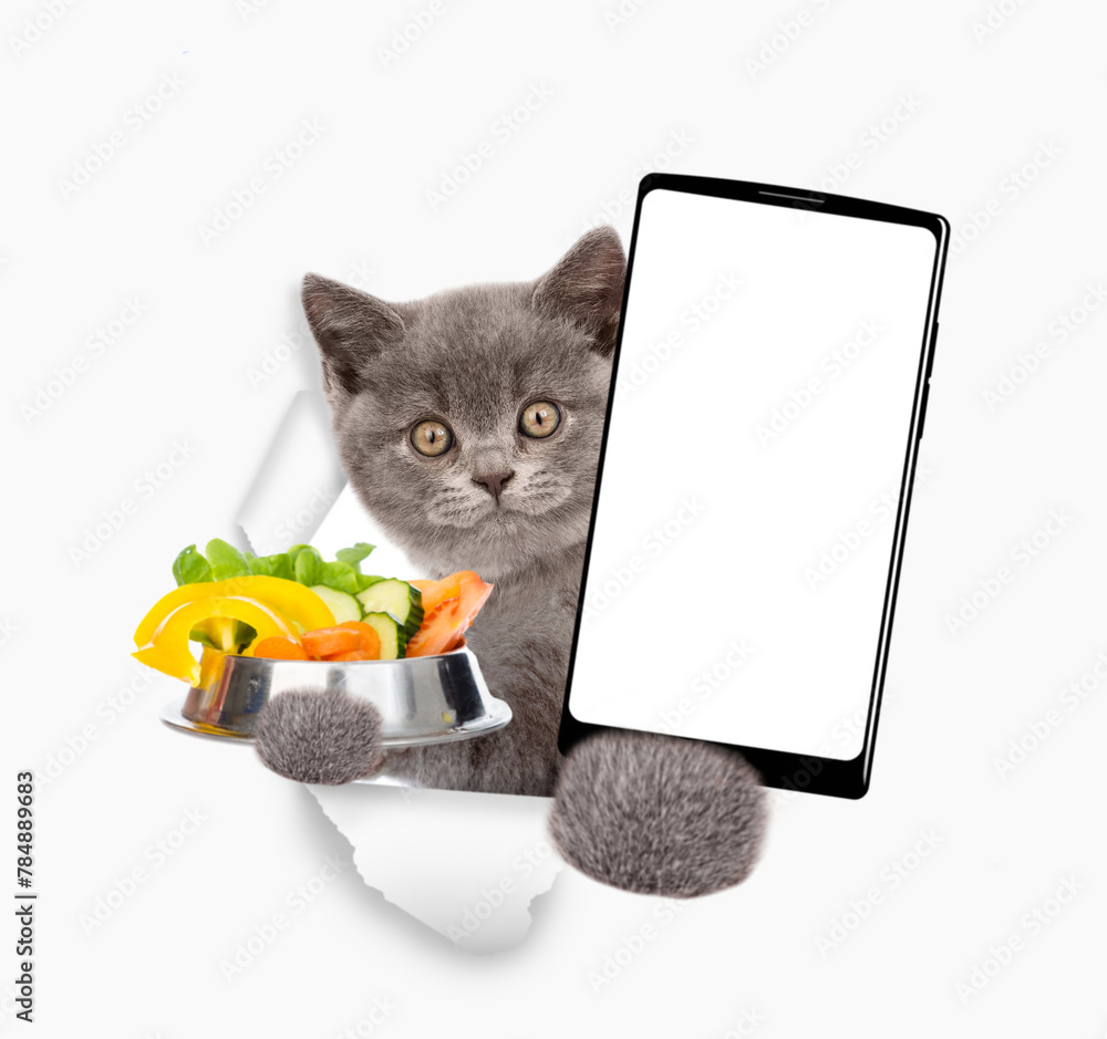 Aufkleber kitten looks through a hole in white paper, holds bowl of vegetables and shows smartphone with white