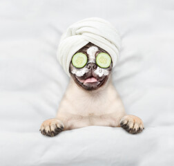 Funny Pug puppy with towel on his head, with cream on his face and with a piece of cucumber on his eyes relaxing on the bed at home. Top down view - 784889620