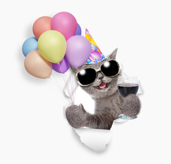 Happy cat wearing sunglasses and party cap holding balloons and glass of red wine, looking through the hole in white paper