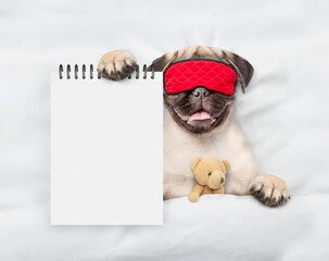 Pug puppy wearing sleeping mask sleeps with toy bear under white blanket on a bed at home and shows empty notepad. Top down view - 784889640