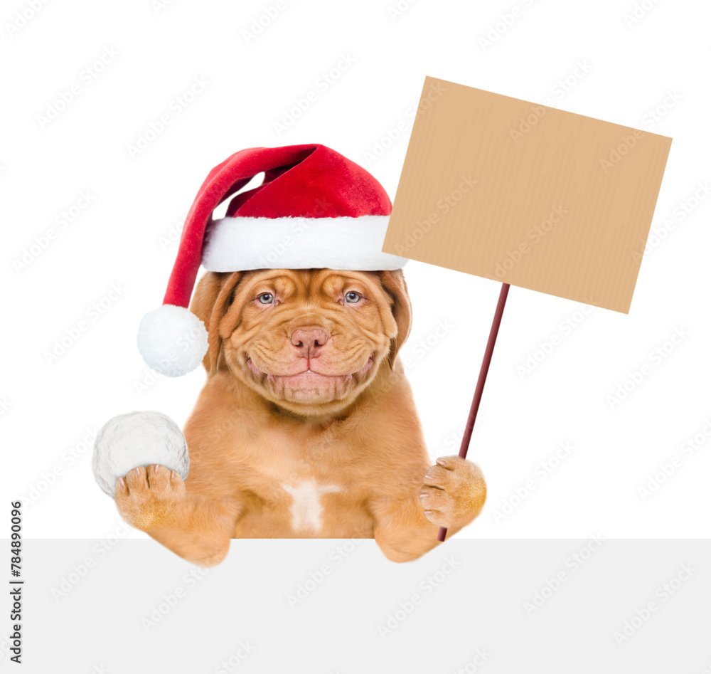 Poster smiling mastiff puppy wearing red santa hat holds snowball above empty white banner and shows empty 